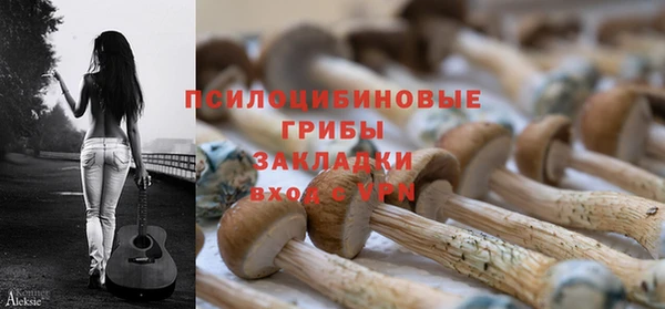 трава Алзамай